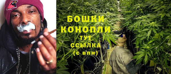 не бодяженный Богданович