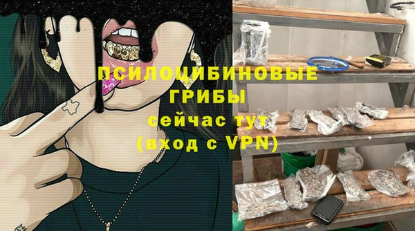 не бодяженный Богданович
