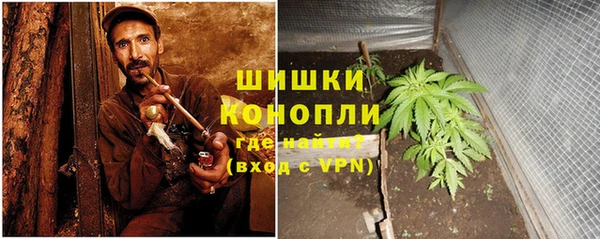 не бодяженный Богданович