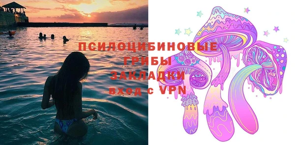 не бодяженный Богданович