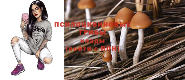 кристаллы Богородицк