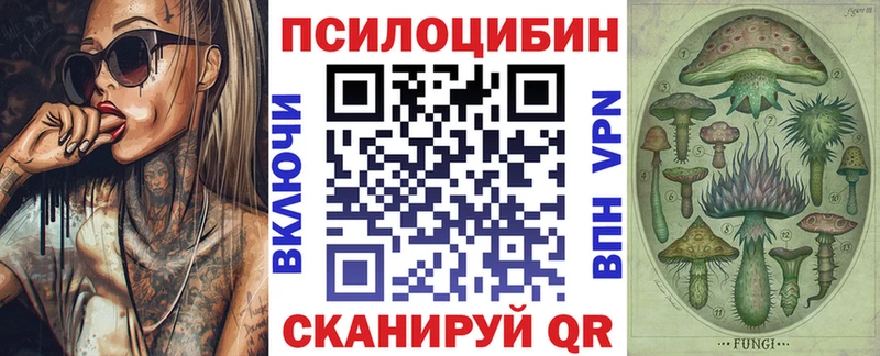 купить  цена  Комсомольск  Псилоцибиновые грибы Psilocybine cubensis 